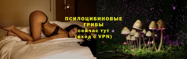 mdpv Арсеньев